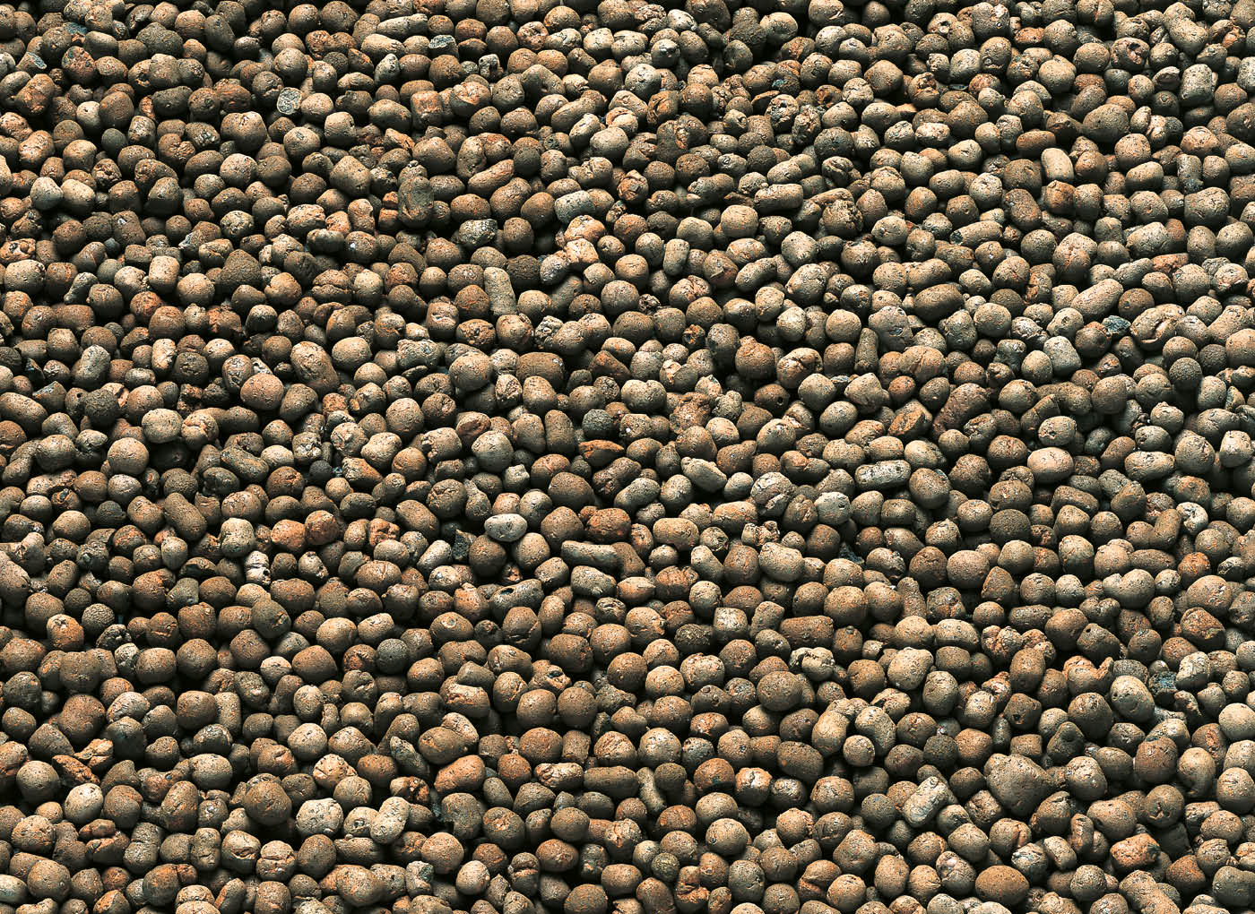 agrileca-argilla-espansa-per-piante-P43-3