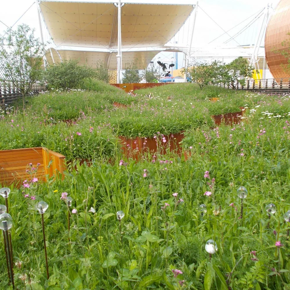 Verde urbano, drenaggio urbano e piantumazione